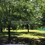 Club de Campo Armenio