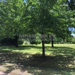 Club de Campo Armenio