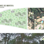 BARRAVERDE – PUNTA DEL ESTE