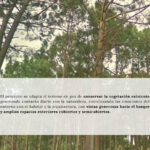 BARRAVERDE – PUNTA DEL ESTE