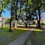 FIGUEROA ALCORTA 3000